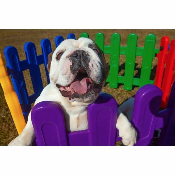 Módulo Avulso para Cercadinho Pet Freso