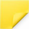 Folhaeva_amarelo